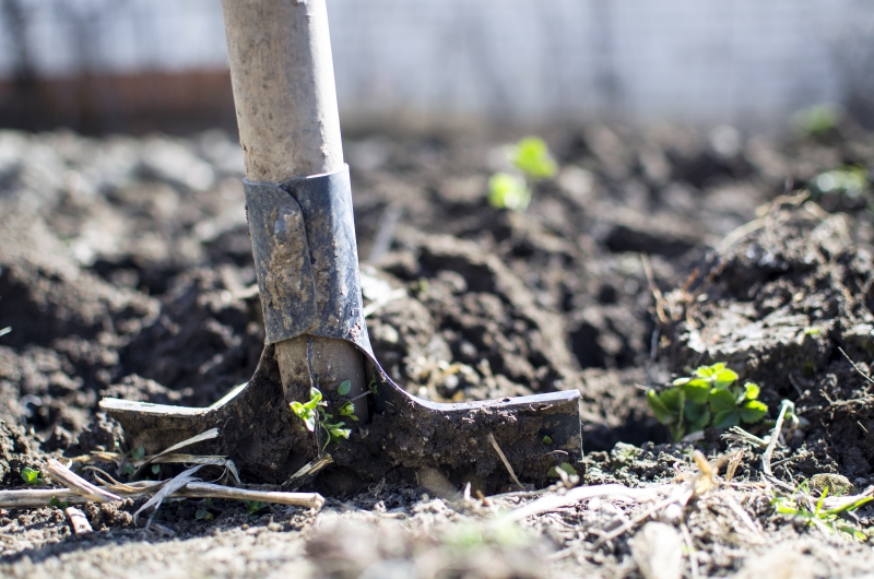 jardinerie-ROQUEBRUNE CAP MARTIN-min_equipment-2047314